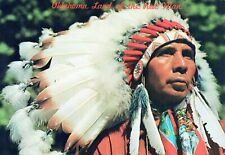 Indian Chief Oklahoma Land of Red Man Chrome 4x6 Postcard picture