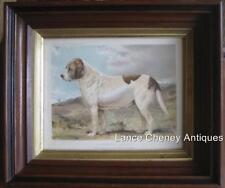 St. Bernard Book of the Dog Cassell Chromolithograph London 1881 Period Frame picture