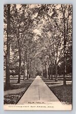 Ann Arbor MI-Michigan, General Greeting, Elm Walk, Antique Vintage Postcard picture