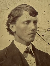 1800s Tintype Photograph of a Victorian-Era Man Posing for a Studio Portrait picture