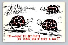 95 Huh I'll Bet She's 150 Years Old If She's A Day Funny Turtle Humor Postcard picture