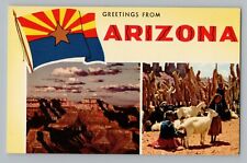 Greetings From Arizona AZ Grand Canyon Desert Goats Chrome Postcard 1950s picture