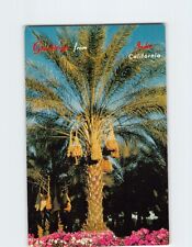 Postcard Picturesque Date Palms Indio California USA picture