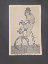 Chimpanzee Riding Bicycle 1947 Anthropomorphic RPPC Photo Animal Human Circus PC picture