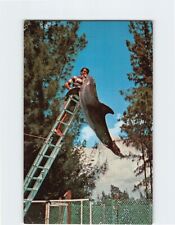 Postcard Sea Lion and Dolphin Show, Waltzing Waters Aquarama, Cape Coral, FL picture