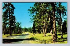 OR-Oregon, Highway 30, Scenic view with trees, Vintage Postcard picture