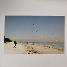 Vintage Postcard Sanibel Island Florida Shell Strewn Beach Feeding Seagulls picture