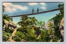 Lookout Mountain TN-Tennessee, Sky Bridge In Rock City Gardens Vintage Postcard picture
