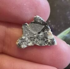 NWA 15583 Lunar Feldspathic Breccia Meteorite 0.45g Polished Slice picture