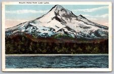 Oregon Mount Hood Lost Lake Scenic Pacific Landscape WB UNP Postcard picture