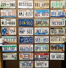 License Plate Lot - 30 plates, Bulk, Mixed States, Craft or Collect  picture