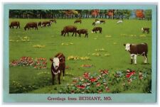 c1940's Greetings From Bethany Group Of Cows Green Field Missouri MO Postcard picture