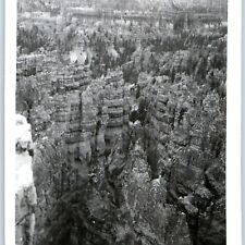 c1940s UT Utah Bryce Vacation Amateur Real Photo Tourism Vtg C33 picture