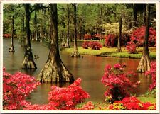Vintage Postcard Greenfield Gardens Wilmington North Carolina NC [db] picture