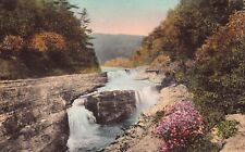 Letchworth State Park NY New York Lower Falls Hand Colored 1910s Vtg Postcard M4 picture