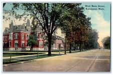 c1910's West Main Street Residence Kalamazoo Michigan MI Unposted Trees Postcard picture