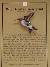 NEW RUBY THROATED HUMMINGBIRD  BIRD  HAT PIN LAPEL PINS picture