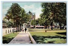 c1910 The Park, Sidney Ohio OH Antique Unposted The Rotograph Co Postcard picture