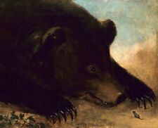 Oil painting Portraits-of-a-Grizzly-Bear-and-Mouse-Life-Size-George-Catlin-Oil-P picture