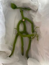 Harry Potter Fantastic Beasts, Steiff 15 inch plush Bowtruckle  picture