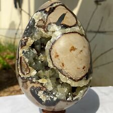 1150g Natural Yellow Dragon Septarian Geode Egg Quartz Cluster Crystal Healing picture