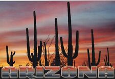 Cactus at Sunset Arizona Postcard 2000's picture