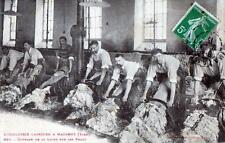 CPA 81 THE WOOL INDUSTRY MAZAMET WOOL CUTTING ON SKIN (CPA IND picture