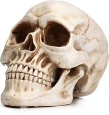 Lifesize 1:1 Human Skull Replica Model Anatomical Realistic Resin Skeleton Decor picture