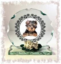 Yorkshire Terrier pup crystal Cut glass Plaque keepsake Unusual #8 picture