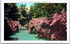 Postcard - Azaleas Walk, Wormsloe Gardens, Savannah, Georgia, USA picture