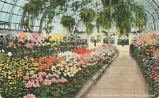 Interior Conservatory - Lincoln Park - Chicago Illinois IL - Postcard picture