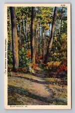 Windsor VT-Vermont, General Scenic Greetings, Antique, Vintage Souvenir Postcard picture