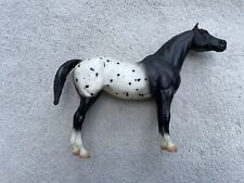 Retired Breyer Horse #884 Pantomime Black Blanket Appaloosa Pony of the Americas picture