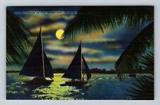 FL-Florida, Sails In The Moonlight, Antique, Vintage Postcard picture