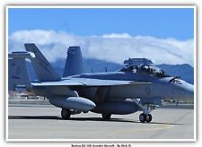 Boeing EA-18G Growler Aircraft picture