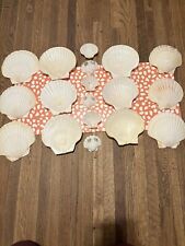18 Piece Vintage Seashell Baking/Serving Dishes picture