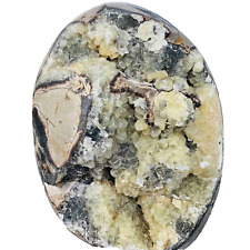 Natural Dragon Septarian Geode Egg Quartz Crystal Rock Reiki Healing 3415G picture