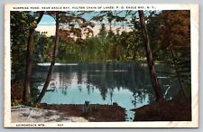 Surprise Pond, Fulton Chain Of Lakes, Eagle Bay Adirondacks NY Vintage Postcard picture