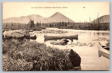c1940's View Of Lily Pad Pond Sourdnahunk Valley Maine ME Vintage Postcard picture