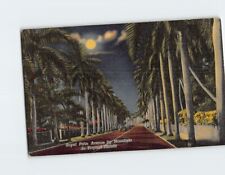 Postcard Royal Palm Avenue by Moonlight in Tropical Florida USA picture