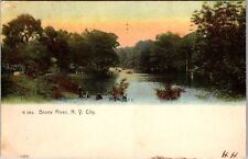 New York City NY, People at the Bronx River, Vintage Postcard picture