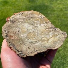 Unknown Jasper Rough Faced 2+lbs (G18) picture