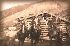 Postcard AK Denali Mount McKinley National Park Horses Logs Fannie O's Saloon picture