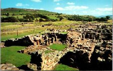 Postcard  Vindolanda Roman Excavations  Hadrians Wall [cp] picture
