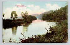 Postcard Lycoming Creek in Williamsport Pennsylvania PA, Antique B9 picture