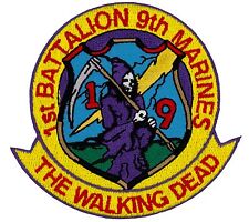 1st Battalion 9th Marines The Walking Dead (K32) 3