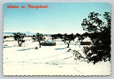 Hogan-styled Animal House Crownpoint New Mexico Area Mt Taylor 4x6 Postcard 1591 picture