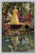 Mirror Pool, Dupree Gardens, Tampa Florida Vintage Postcard ` picture
