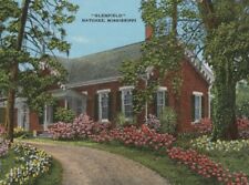 Glenfield Natchez Mississippi Cottage Villa Linen Vintage Postcard picture