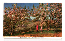 c1940s Yakima Valley Washington Apple Blossom Season Vintage Postcard picture